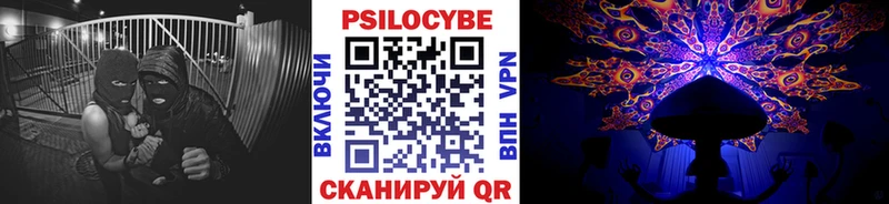 Псилоцибиновые грибы Cubensis  Нея 